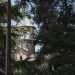 Spicca sul tetto la particolare la torre con guglia che svetta fra gli alberi